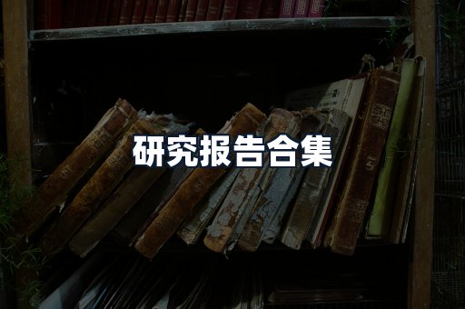 研究报告合集